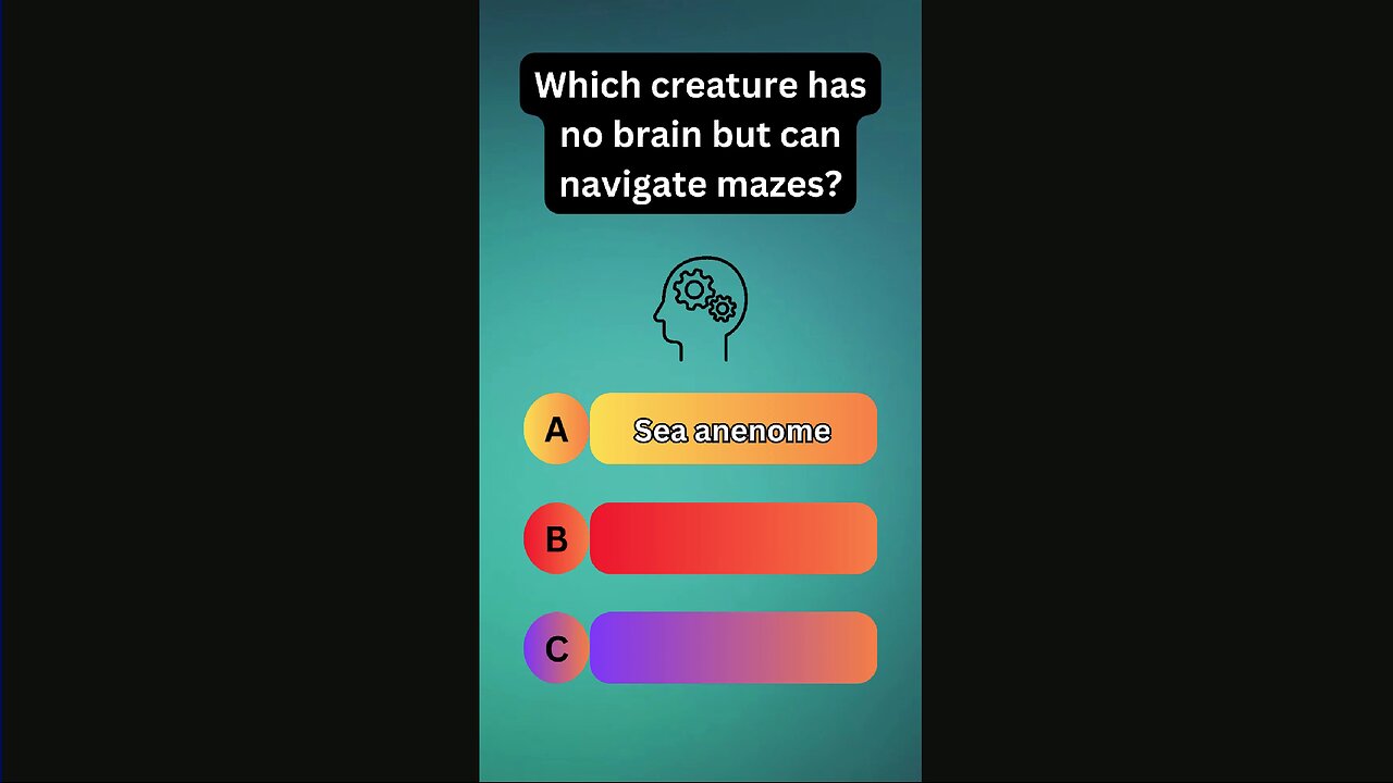 Which Creature Has No Brain But Can Navigate Mazes?