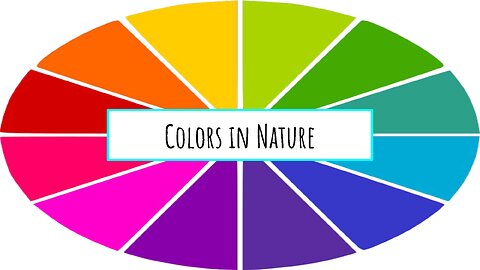 Nature's Color Wheel - Discover the MAGIC of Colors in Nature!
