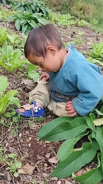 Garden Security is Sleeping 😞😞😞