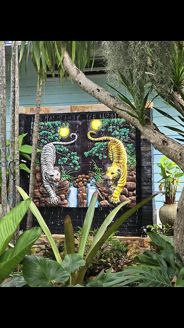 Petting a Bengal Tiger 🐅 😳