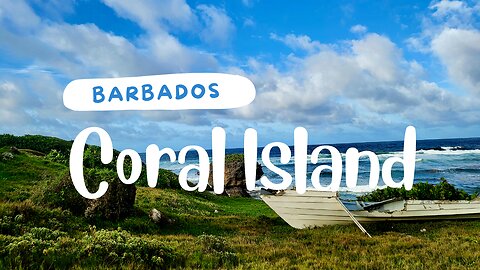 Picturesque Coral Rocks on the Beaches of Barbados | Countryside Journeys