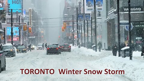 Winter Snow Storm in Toronto - Feb 16, 2025 - Downtown Drive