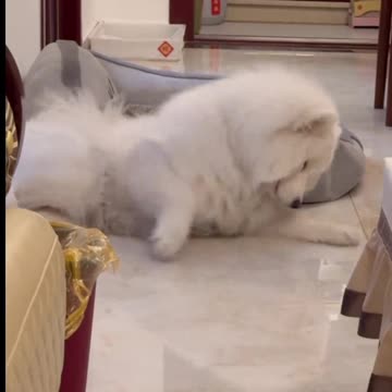 Oh My! The TV is Too Loud