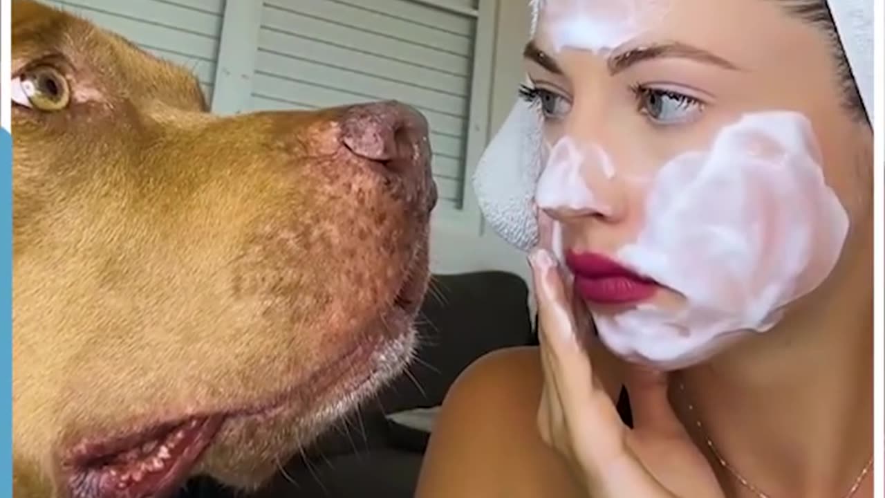 Funny video