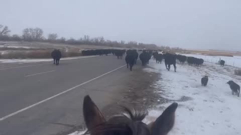 Living that Ranch Life.. Amazing. cartercountrymeats.com