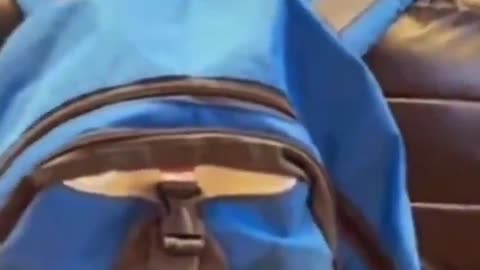 18+ Sensitive content