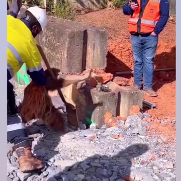 Michael Jackson #funnyvideo #shorts