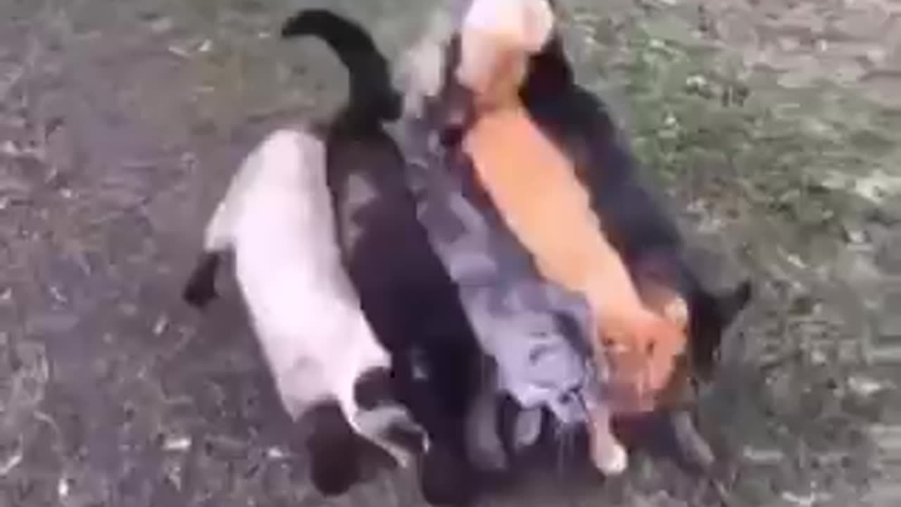 I have questions...