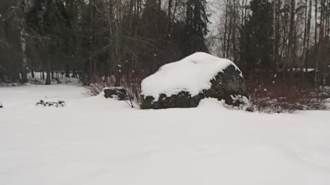 KÄYTTÄÄKÖ VASEMMISTO - KELAN VIRKAILIJAT ASEMAANSA VÄÄRIN?