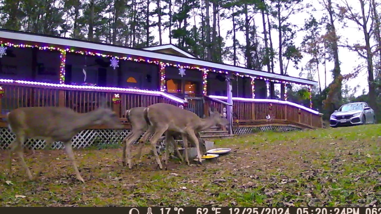 Game Camera Dec. 2024