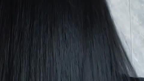 Long silky smooth hairs