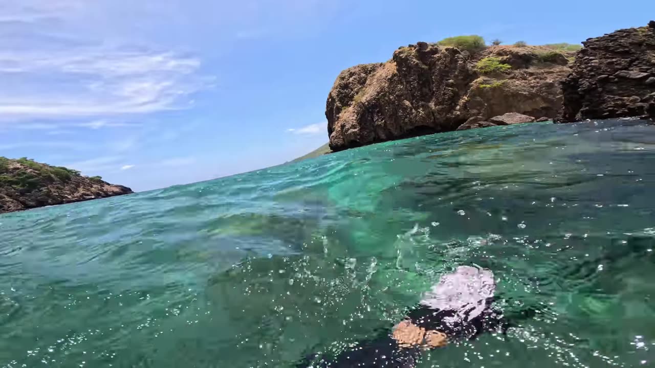 I've never seen so many fish!