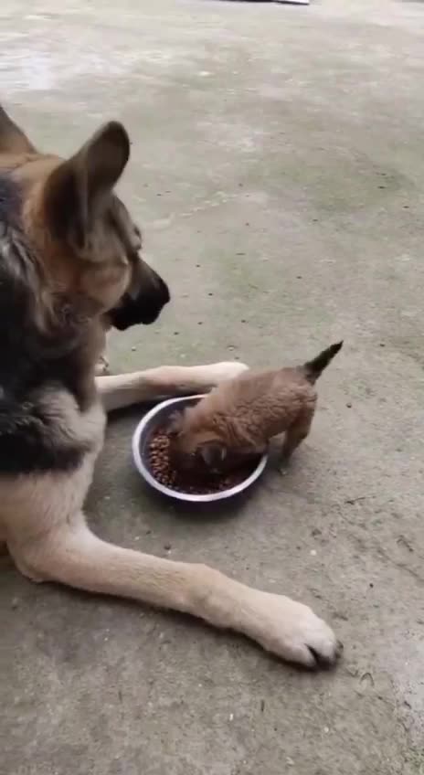 Don’t get between me and my food