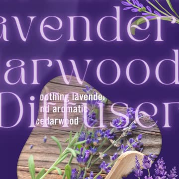 Avon Senses Gratitude Lavender & Cedarwood Air Diffuser