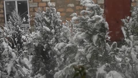 Winter outside