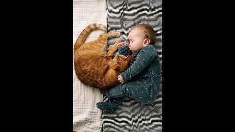A beautiful bond : baby & kitty 😍🐈😘