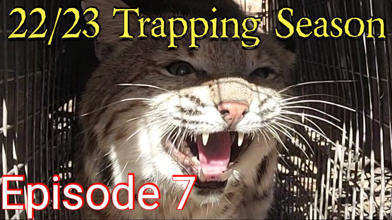 22/23 Trapping Season. Episode 7 End of the Line!