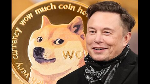 DODGING DOGE: Elon Musk's government efficiency team bombarded with lawsuits