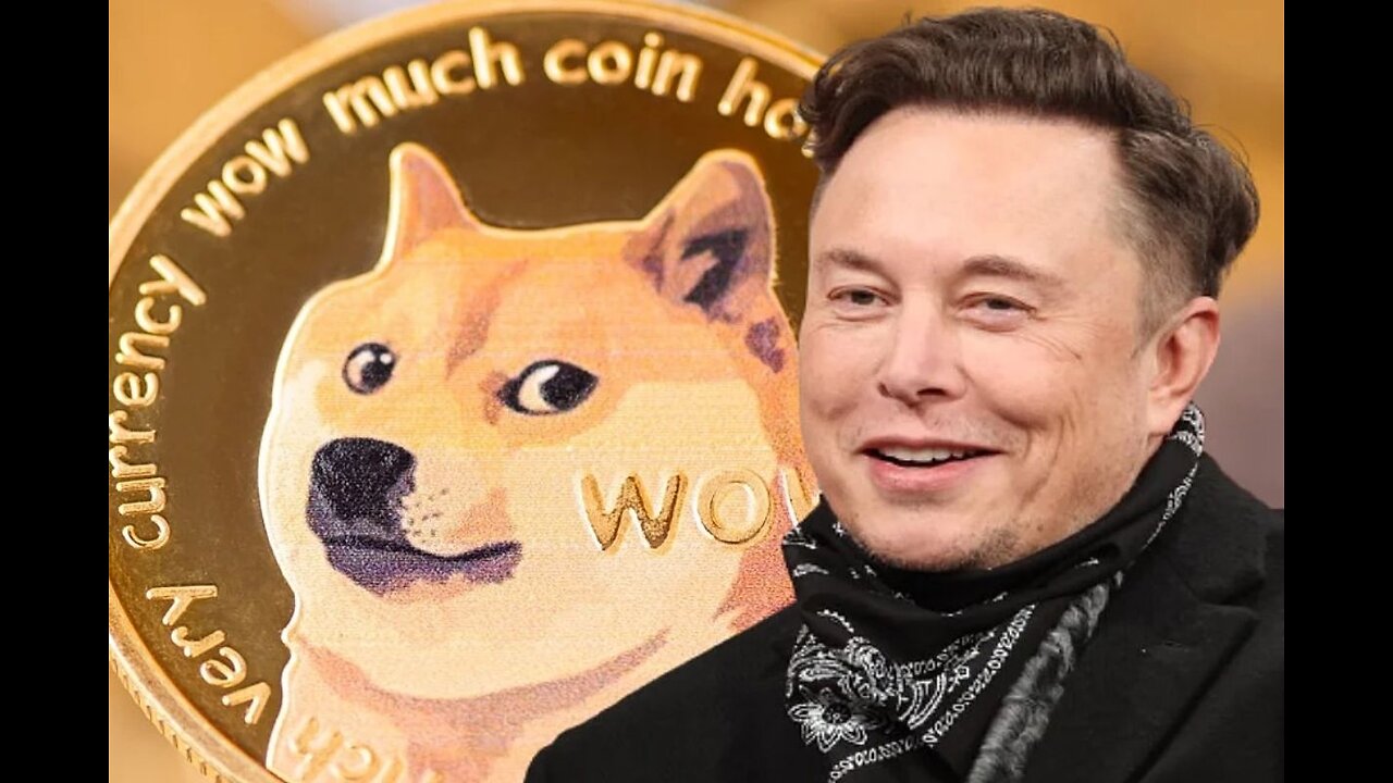 DODGING DOGE: Elon Musk's government efficiency team bombarded with lawsuits