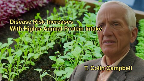 The Common Trends in the Data, Showing That Higher Animal Protein Intake