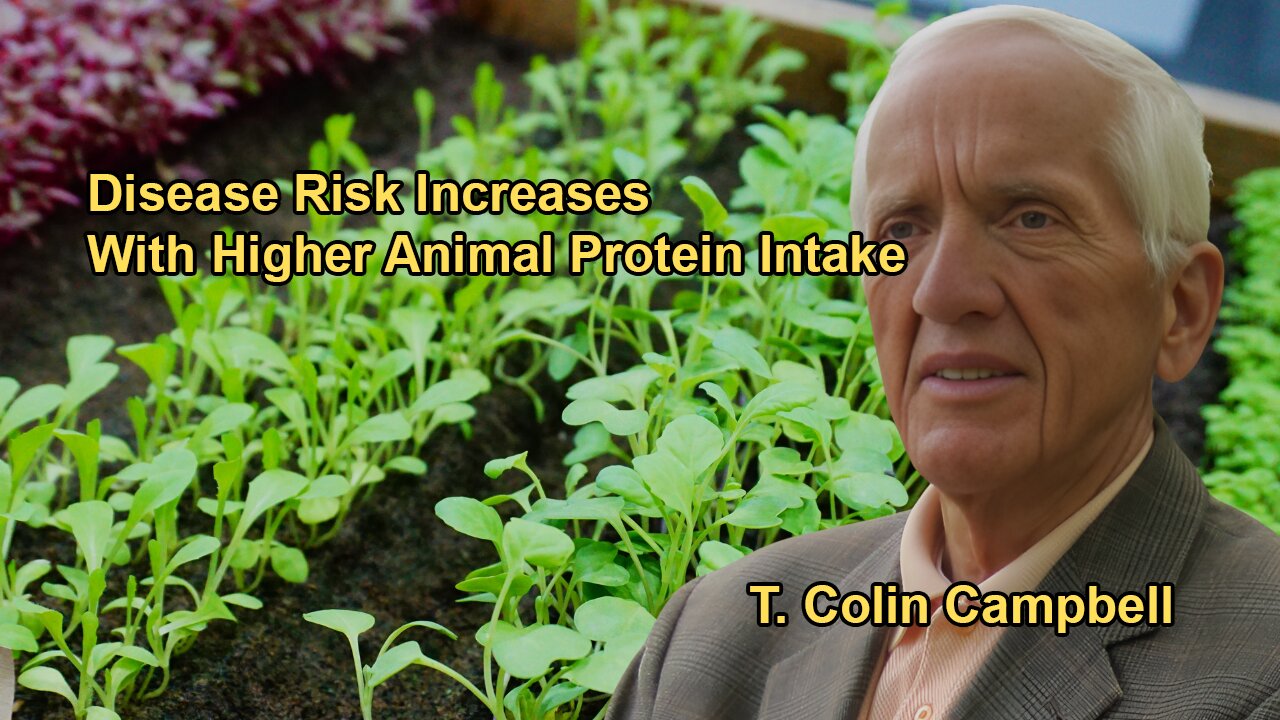 The Common Trends in the Data, Showing That Higher Animal Protein Intake