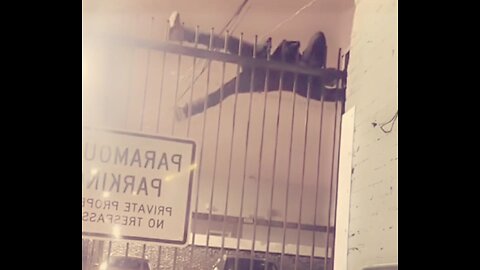 Not So Graceful Escape😂