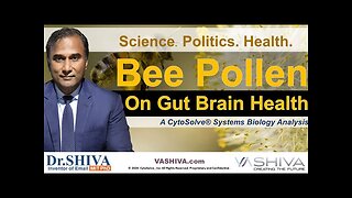 Dr.SHIVA™: Bee Pollen & Gut Brain Health @CytoSolve Systems Analysis(6/24)