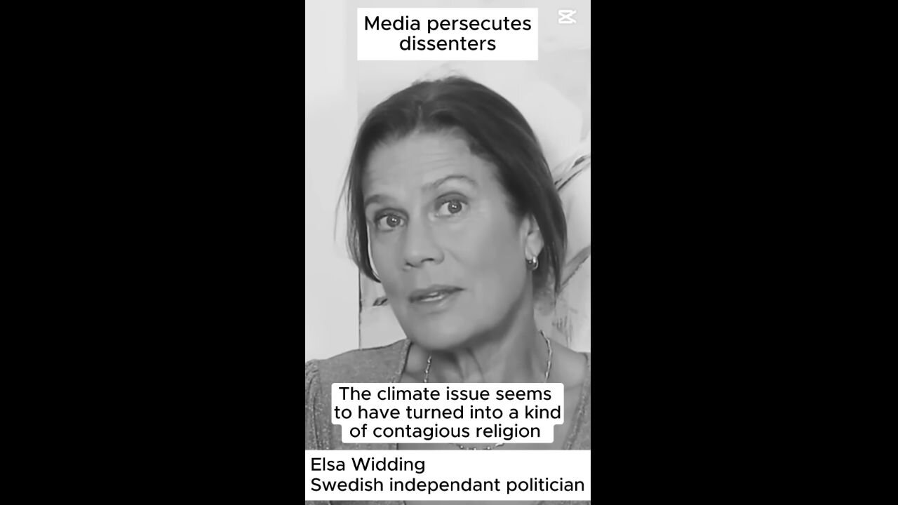 Elsa Widding - Media persecutes dissenters