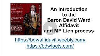 Baron David Ward Affidavit Talk 9th February 2024