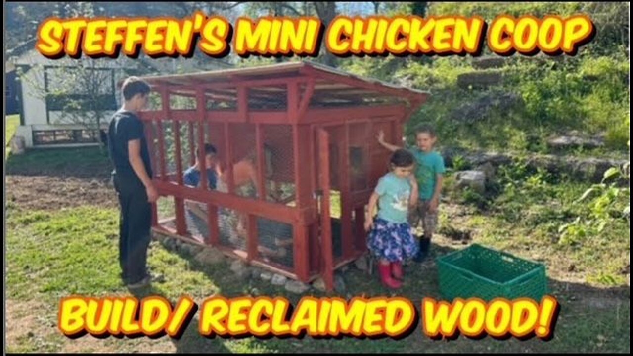 Building a Small Chicken Coop From Reclaimed Wood- Steffen's Mini Coop Project for Our New Pullets!