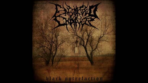 Black Putrefaction