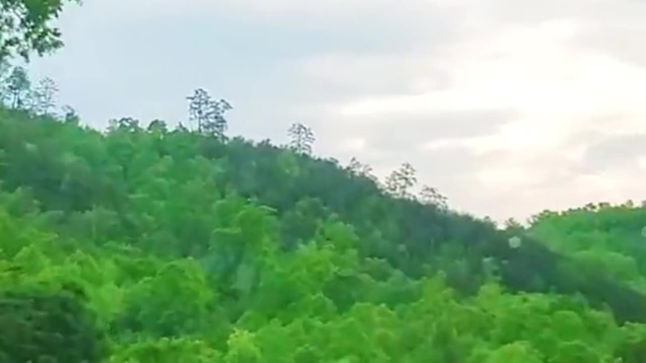 FOTD Spring 2024 I'm gonna fight them off