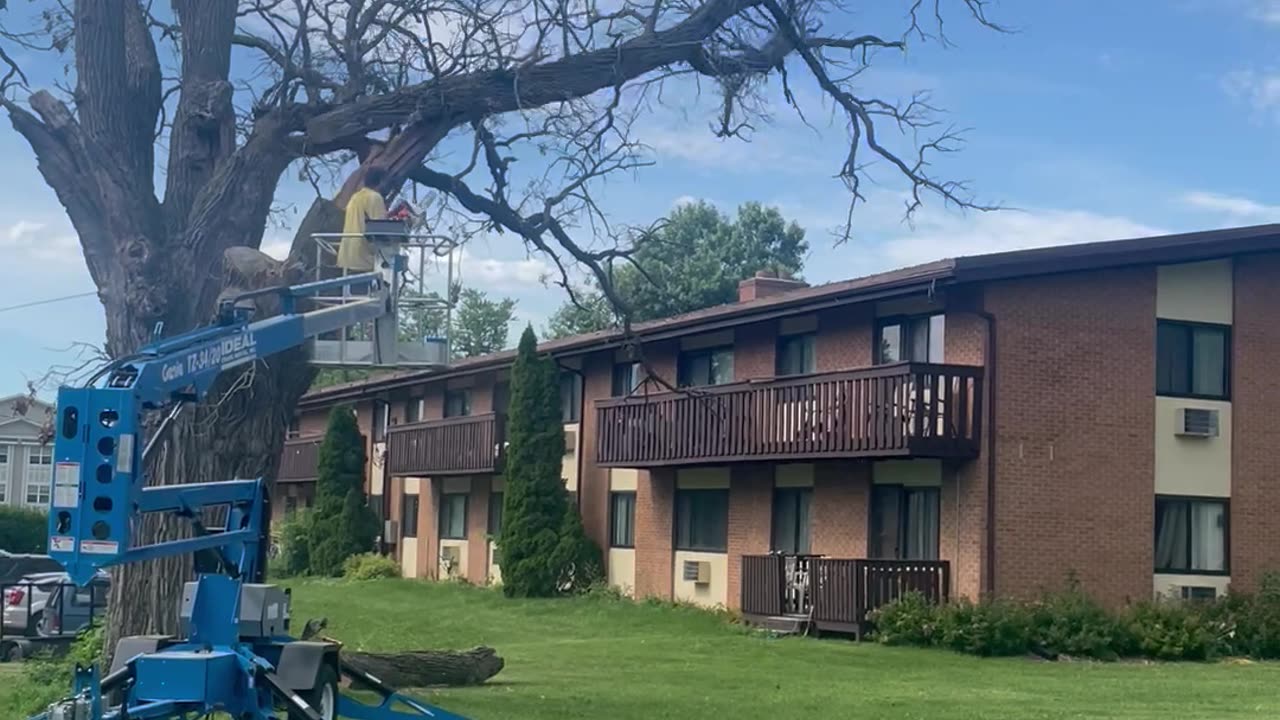 Tree Branch Hits Arbor Lift