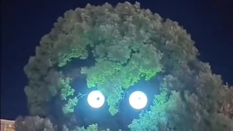 This tree has eyes😱