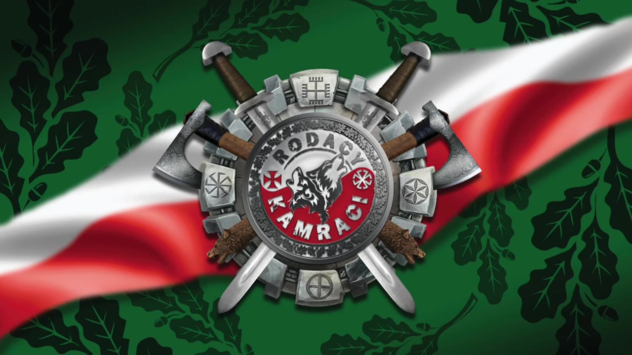 Kamracki Żywiec 25.01.2025