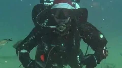 Fun Christmas Dive