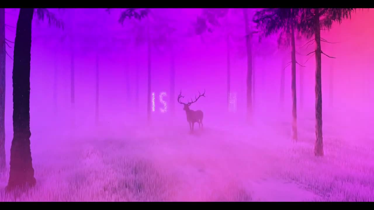 HÖR AUF, GEHORSAM ZU SEIN - Alien's Best Friend - 15.01.2025