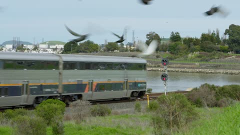 Trains around Hercules/Pinole