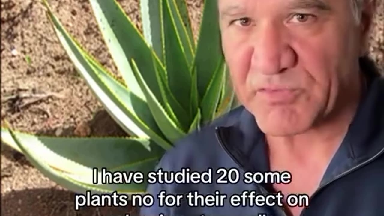 Why Does Your Body Need Stem Cells?