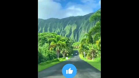 Hawaii, where paradise meets the earth.😍😍🌺🌿🪷