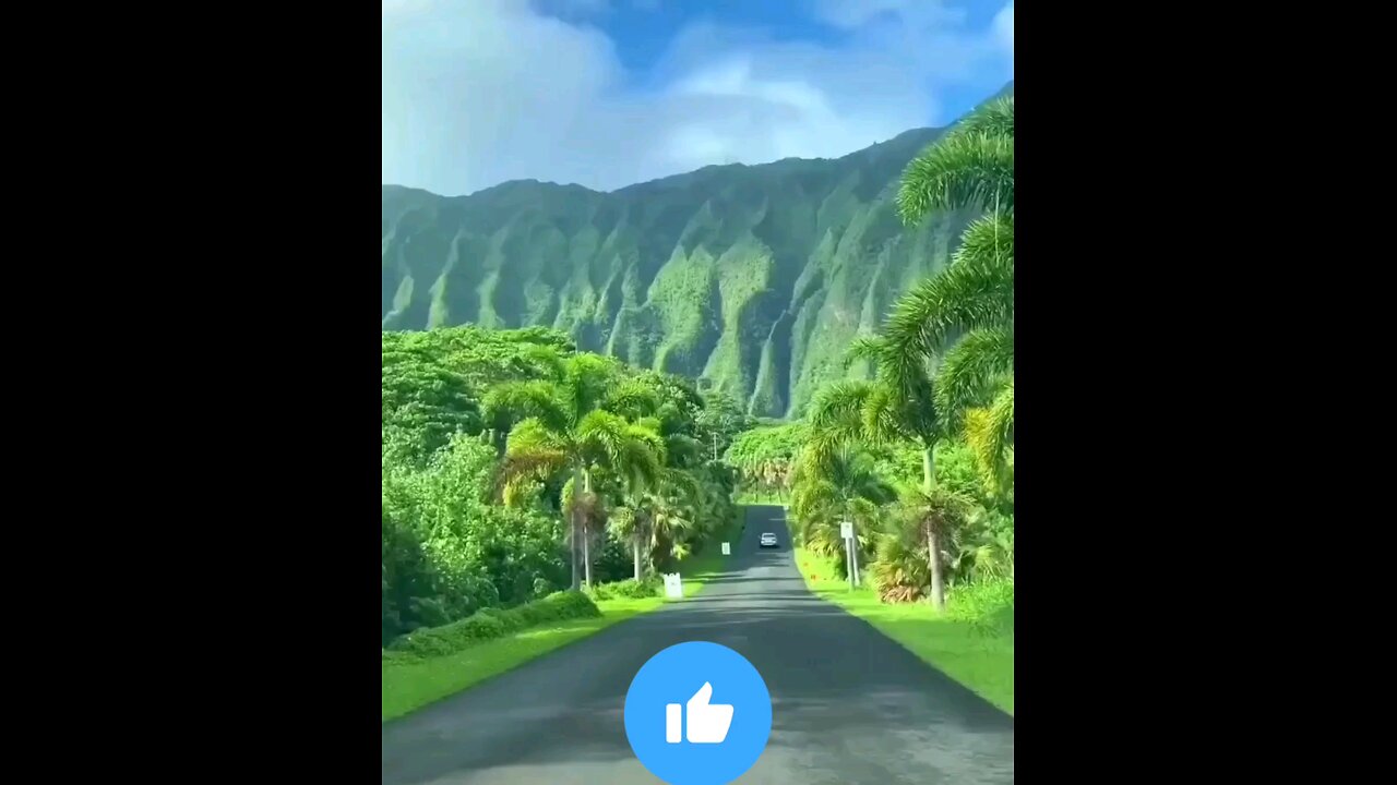 Hawaii, where paradise meets the earth.😍😍🌺🌿🪷