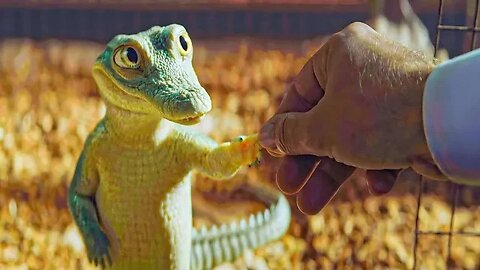 New York Family Discovers That a Friendly Crocodile is Living in Their Attic.