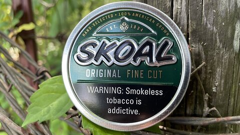 Skoal Original Fine Cut Dip Review