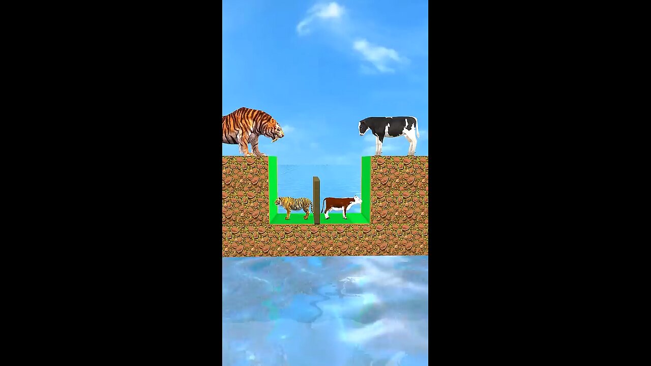 cow get a money