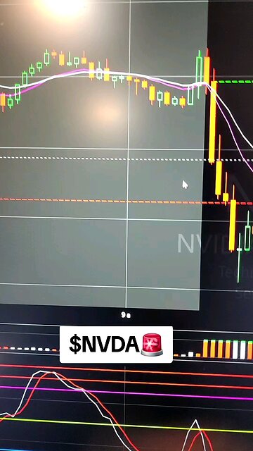 $NVDA🚨