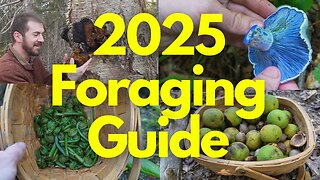 2025 Foraging Guide to Edible Mushrooms and Plants!