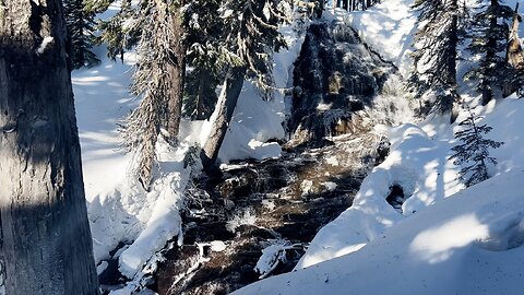 SILENT PERSPECTIVES (4K) of Umbrella Falls! | Snowy Winter Wonderland | Mount Hood National Forest