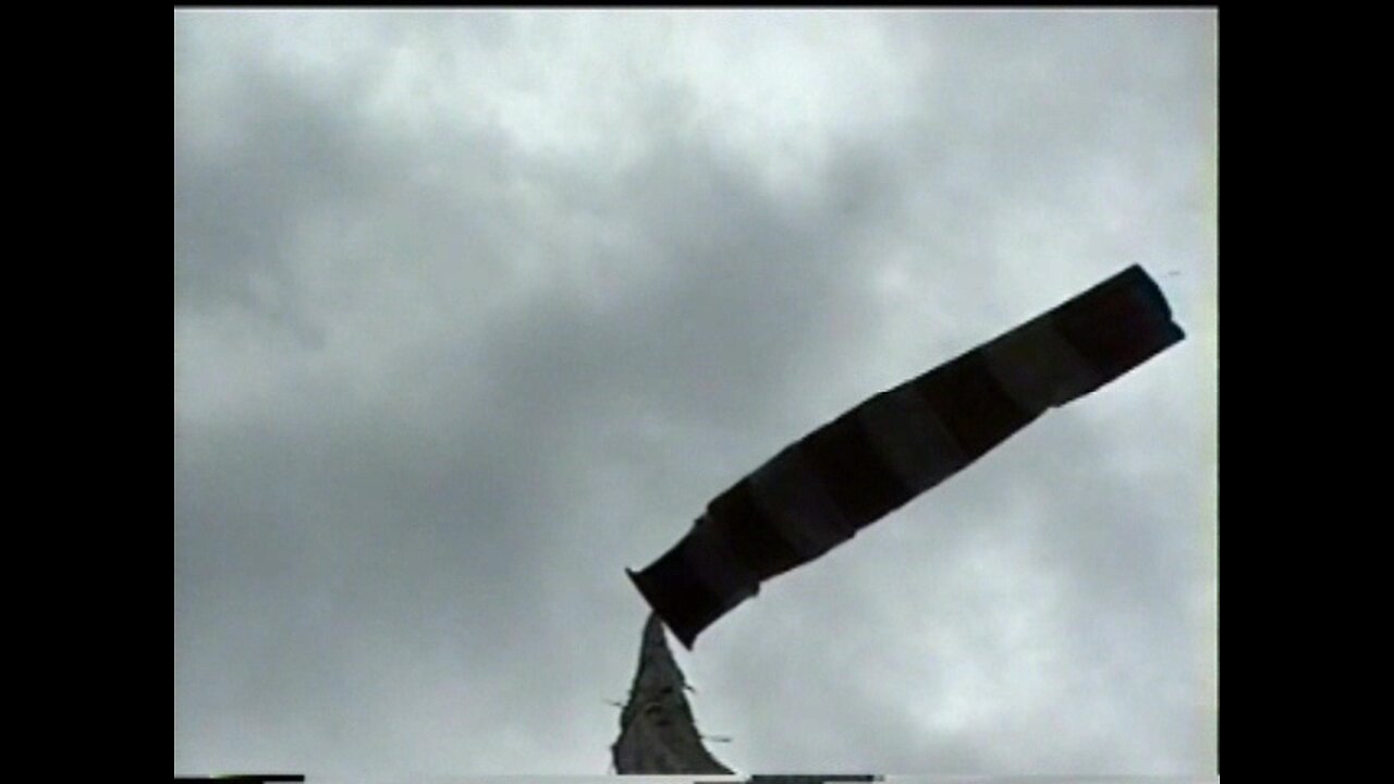 "Windfield"- videoart, 2004