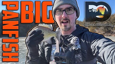 Midwest Ice Fishing: Landing Big Panfish & Chasing a New PB!