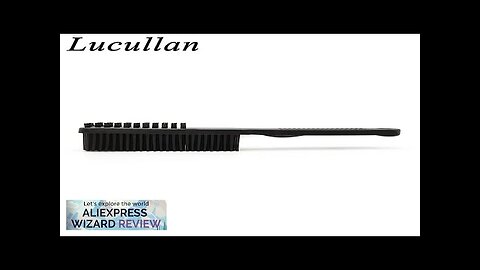 Lucullan Professional Rubber Pet Hair Removal Brush Dog & Cat Hair On Review